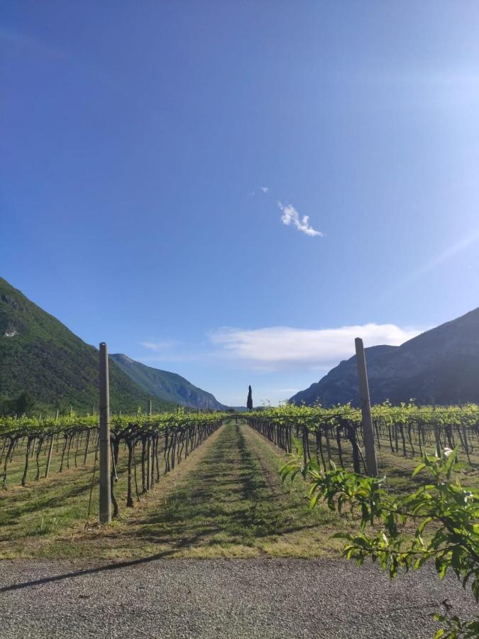 Agriturismo Revena Brentino Belluno ภายนอก รูปภาพ