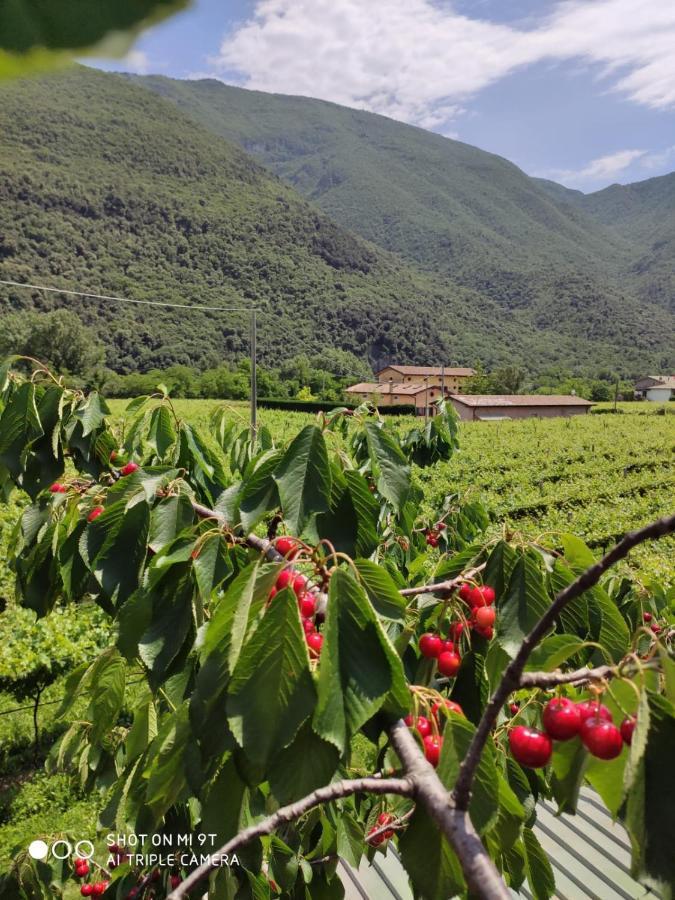 Agriturismo Revena Brentino Belluno ภายนอก รูปภาพ