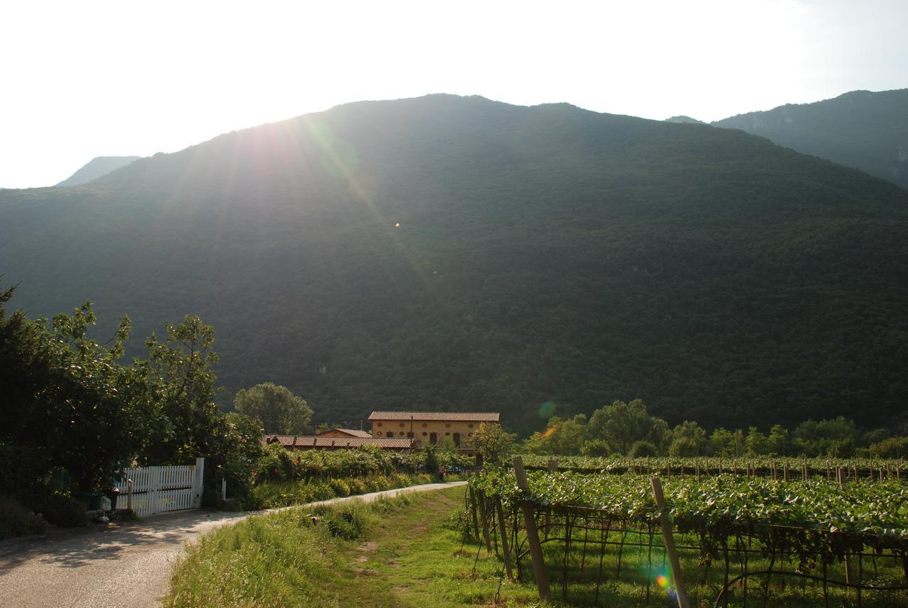 Agriturismo Revena Brentino Belluno ภายนอก รูปภาพ